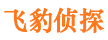 武江市侦探公司